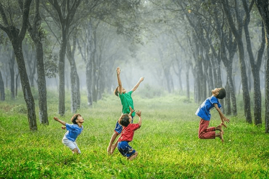 5 Ways to Make your Garden Child-Friendly and Safe