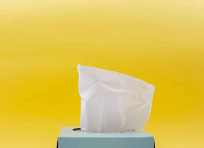 Supporting little ones with summer colds - Cheeky Rascals UK