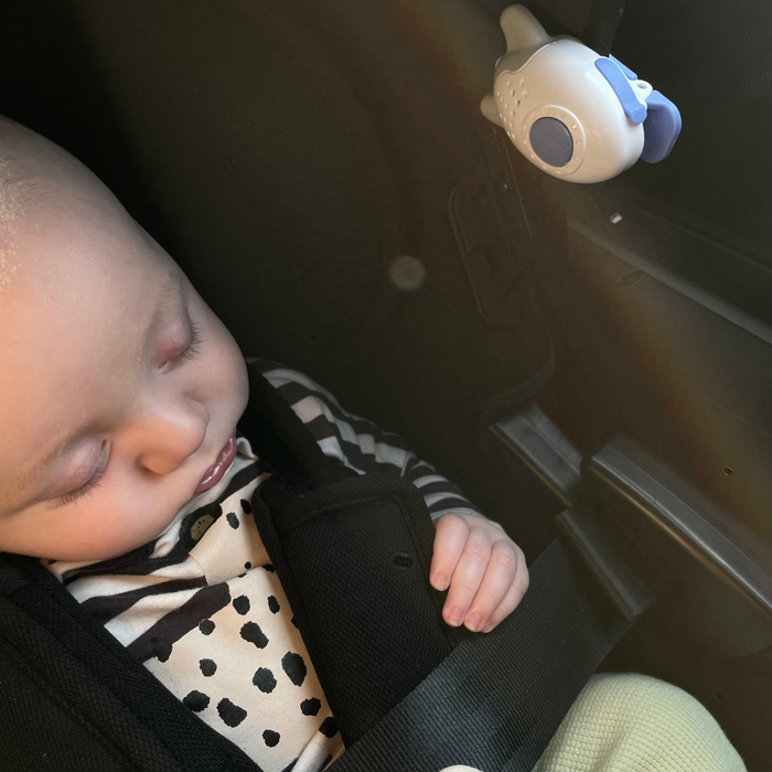 Review From You- Rockit Zed and Wooshh (/@ceriparry_)