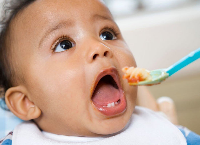 Baby's First Bites: A Guide to Food Allergens, Introductions, and Allergy-Aware Recipes - Cheeky Rascals UK