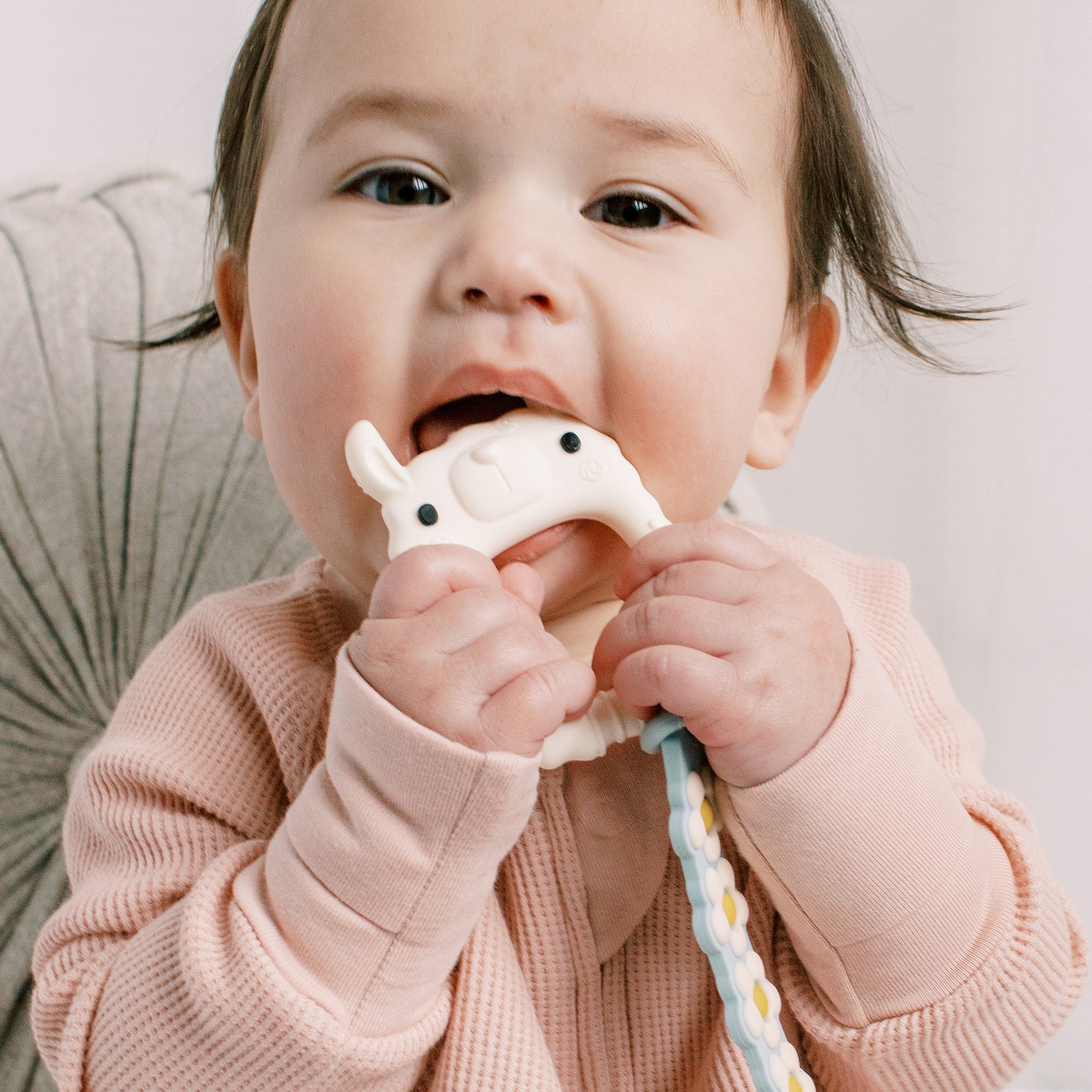 Baby holding a Lane Llama teether 