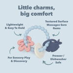 Sarah Shark Teething Charm with text highlighting its features on a light blue background