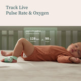 Owlet Dream Duo™ - Mint