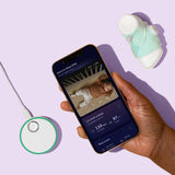 Owlet Dream Duo™ - Mint