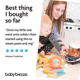 Baby Brezza Food Maker Deluxe
